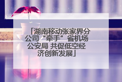 湖南移动张家界分公司“牵手”省机场公安局 共促低空经济创新发展