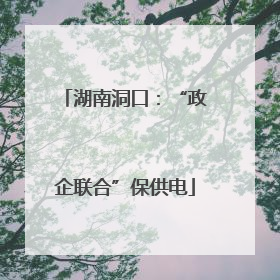 湖南洞口：“政企联合”保供电