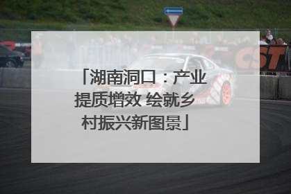 湖南洞口：产业提质增效 绘就乡村振兴新图景