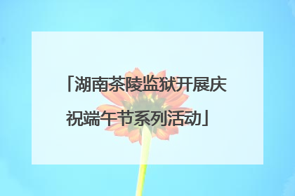 湖南茶陵监狱开展庆祝端午节系列活动