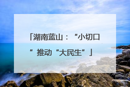 湖南蓝山：“小切口”推动“大民生”