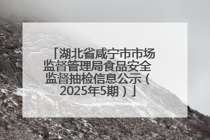 湖北省咸宁市市场监督管理局食品安全监督抽检信息公示（2025年5期）