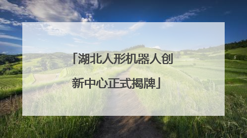 湖北人形机器人创新中心正式揭牌