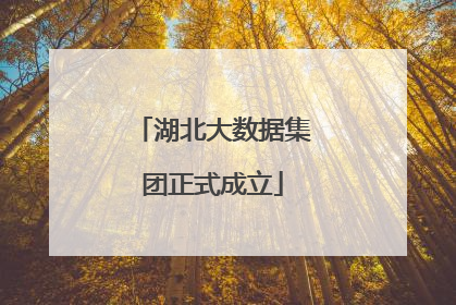 湖北大数据集团正式成立