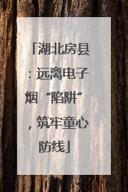 湖北房县：远离电子烟“陷阱”，筑牢童心防线