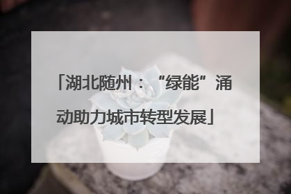 湖北随州：“绿能”涌动助力城市转型发展