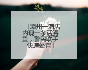 漳州一酒店内现一条活鳄鱼，警民联手快速处置