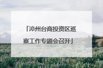 漳州台商投资区巡察工作专题会召开