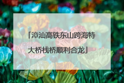 漳汕高铁东山跨海特大桥栈桥顺利合龙