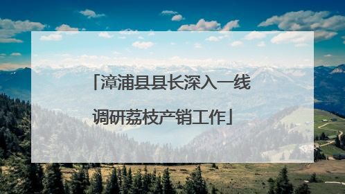 漳浦县县长深入一线调研荔枝产销工作