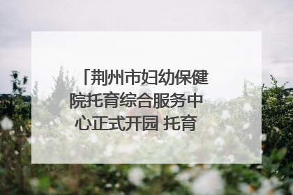 荆州市妇幼保健院托育综合服务中心正式开园 托育宣传月同步启动