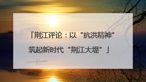 荆江评论：以“抗洪精神”筑起新时代“荆江大堤”