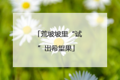 荒坡坡里“试”出希望果