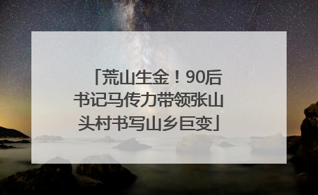 荒山生金！90后书记马传力带领张山头村书写山乡巨变