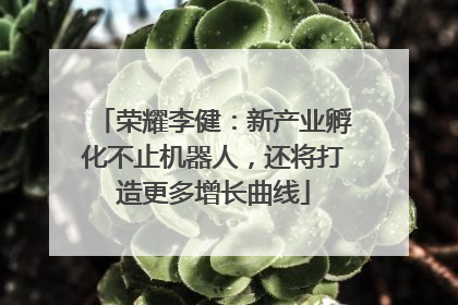 荣耀李健：新产业孵化不止机器人，还将打造更多增长曲线