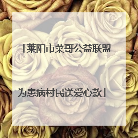 莱阳市菜哥公益联盟为患病村民送爱心款
