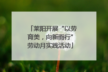 莱阳开展“以劳育美，向新而行”劳动月实践活动