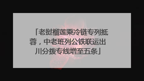 老挝榴莲乘冷链专列抵蓉，中老班列公铁联运出川分拨专线增至五条