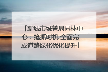 聊城市城管局园林中心：抢抓时机 全面完成道路绿化优化提升