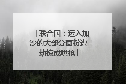 联合国：运入加沙的大部分面粉遭劫掠或哄抢