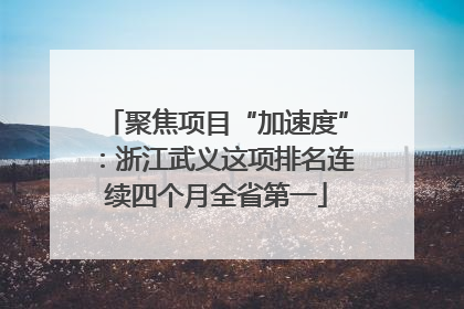 聚焦项目“加速度”：浙江武义这项排名连续四个月全省第一