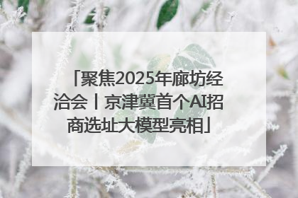 聚焦2025年廊坊经洽会丨京津冀首个AI招商选址大模型亮相