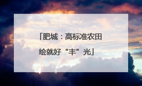 肥城：高标准农田绘就好“丰”光