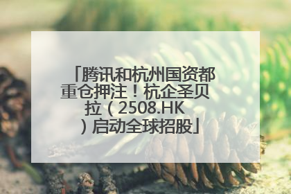 腾讯和杭州国资都重仓押注！杭企圣贝拉（2508.HK）启动全球招股