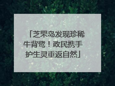 芝罘岛发现珍稀牛背鹭！政民携手护生灵重返自然