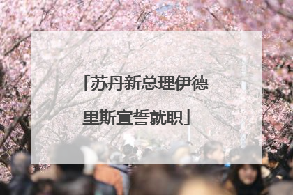 苏丹新总理伊德里斯宣誓就职