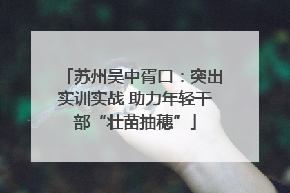 苏州吴中胥口：突出实训实战 助力年轻干部“壮苗抽穗”