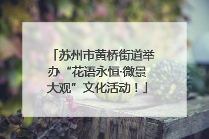 苏州市黄桥街道举办“花语永恒·微景大观”文化活动！