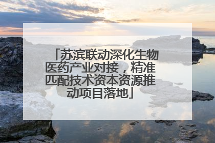 苏滨联动深化生物医药产业对接，精准匹配技术资本资源推动项目落地