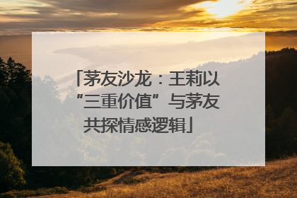 茅友沙龙：王莉以“三重价值”与茅友共探情感逻辑