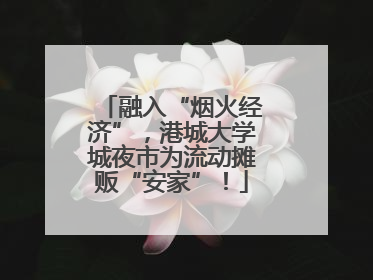 融入“烟火经济”，港城大学城夜市为流动摊贩“安家”！