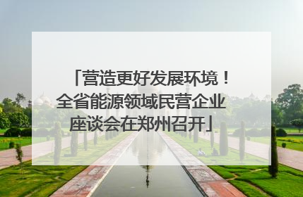 营造更好发展环境！全省能源领域民营企业座谈会在郑州召开
