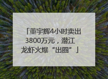 董宇辉4小时卖出3800万元，潜江龙虾火爆“出圈”