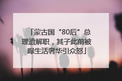 蒙古国“80后”总理遭解职，其子此前被曝生活奢华引众怒