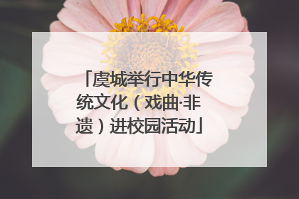 虞城举行中华传统文化（戏曲·非遗）进校园活动