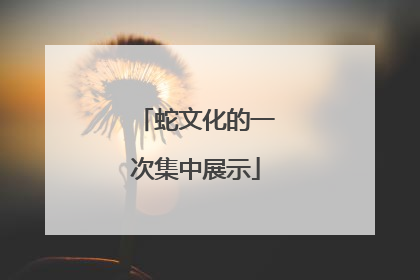 蛇文化的一次集中展示