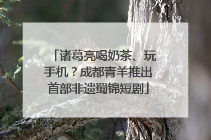 诸葛亮喝奶茶、玩手机？成都青羊推出首部非遗蜀锦短剧