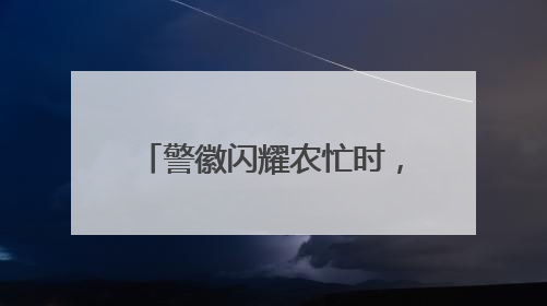 警徽闪耀农忙时，仪征多措并举守护百姓“粮袋子”