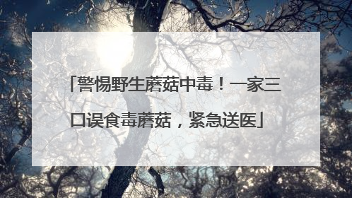 警惕野生蘑菇中毒！一家三口误食毒蘑菇，紧急送医