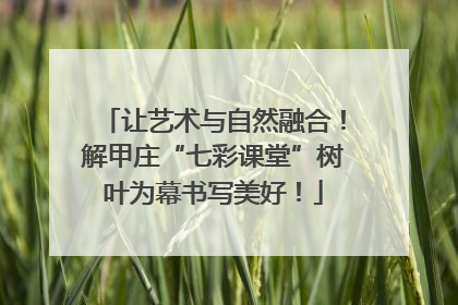 让艺术与自然融合！解甲庄“七彩课堂”树叶为幕书写美好！