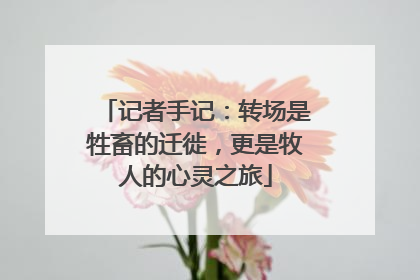 记者手记：转场是牲畜的迁徙，更是牧人的心灵之旅