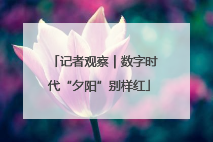 记者观察｜数字时代“夕阳”别样红