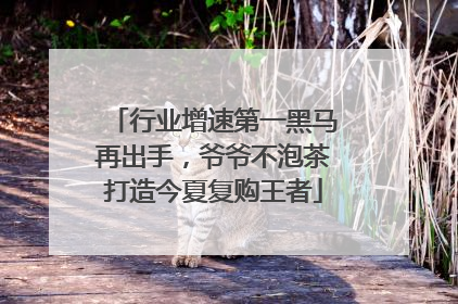 行业增速第一黑马再出手，爷爷不泡茶打造今夏复购王者