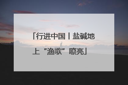 行进中国丨盐碱地上“渔歌”嘹亮