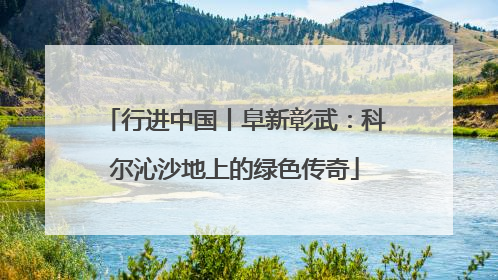 行进中国丨阜新彰武：科尔沁沙地上的绿色传奇