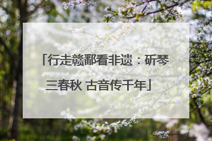 行走赣鄱看非遗：斫琴三春秋 古音传千年